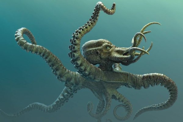 Kraken ссылка kraken torion