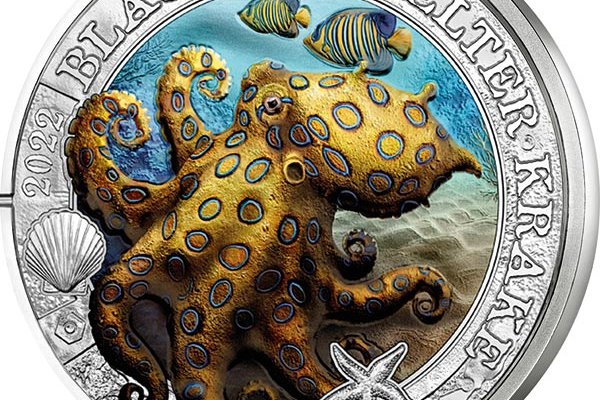 Kraken13 at сайт