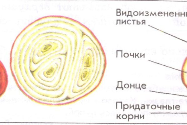 Кракен нар